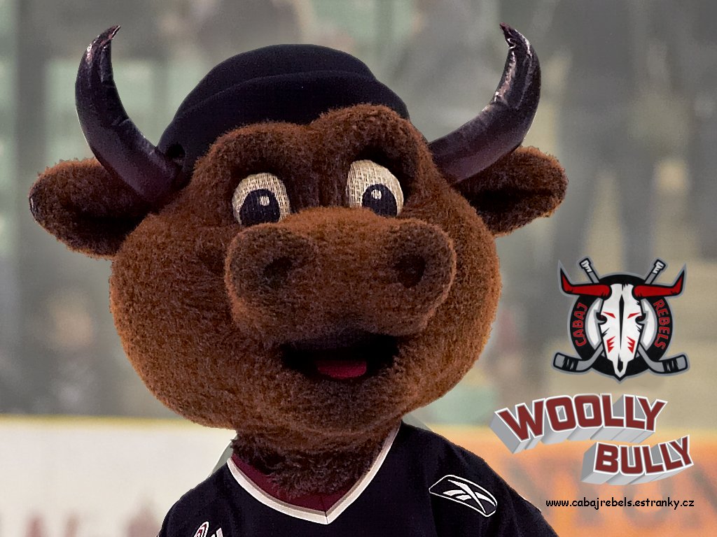 woollybully_cabaj.jpg
